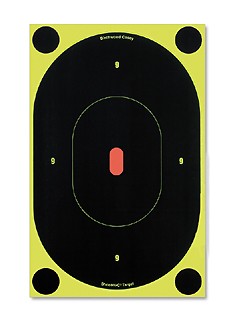 B27-6 Shoot-N-C 9" Oval Target (Per6)