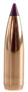 6mm 80gr Ballistic Tip (100 ct)