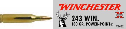 243 Winchester by Winchester 243 Win, 100grain, Super-X Power-Point, (Per 20)